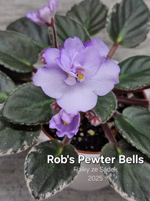 Rob's Pewter Bells